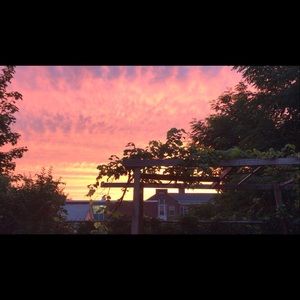 Meet your Posher, Sofia